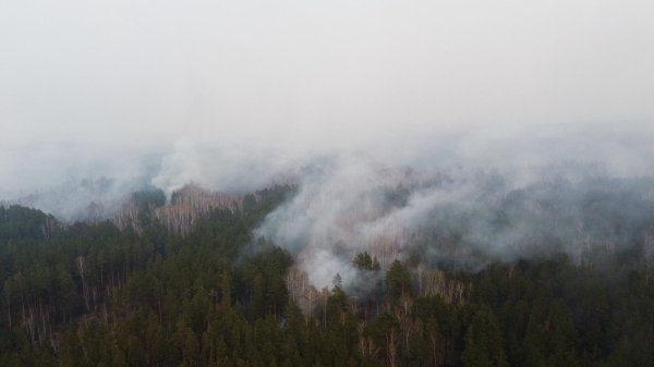 Губернатор Кобзев: в Приангарье за пять лет площадь лесных пожаров сократилась в 3,5 раза