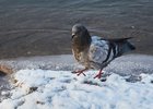
                29 сентября в западных и северных районах Иркутской области ожидается снег
                
            