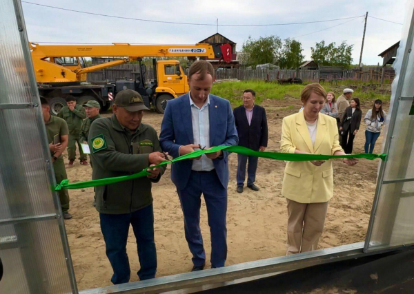 В селе Табага в Якутии открыли лесопитомник на 500 тысяч саженцев хвойных пород
