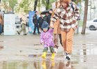 
                МЧС предупреждает жителей Иркутской области о ливнях и грозах в ближайшие сутки
                
            